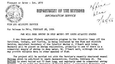 FWS Will Seek Shrimp in Deep Waters off South Atlantic States February 28, 1956