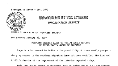 Wlidlife Service Fails to Verify Early Reports of Third Family Group of Whoopers January 26, 1957 B