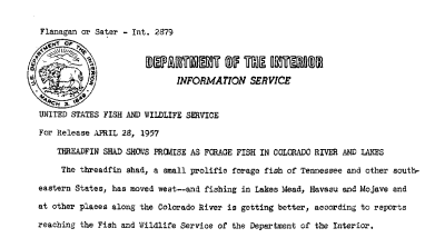 Threadfin Shad Shows Promise as Forage Fish in Colorado River and Lakes April 28, 1957