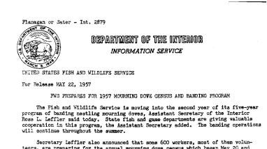FWS Prepares for 1957 Mourning Dove Census and Banding Program May 22, 1957 A