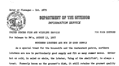 Northern Lobsters Are Now in Good Supply August 13, 1957