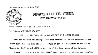 Fur Trapping Still Adversely Affected by Fashion Demands September 16, 1957