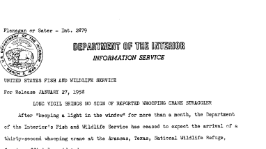 Long Vigil Brings No Sign of Reported Whooping Crane Straggler January 27, 1958 B