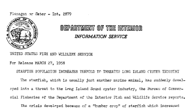 Starfish Population Increases Tenfold to Threaten Long Island Oyster Industry March 27, 1958 B