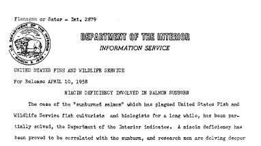 Niacin Deficiency Involved in Salmon Sunburn April 10, 1958 B