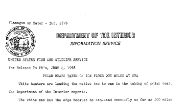 Polar Bears Tken on Ice Floes 200 Miles at Sea June 2, 1958