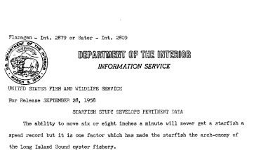 Starfish Study Develops Pertinent Data September 28, 1958 B