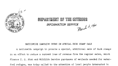 National Campaign Opens on Special Duck Stamp Sale--March 4, 1960