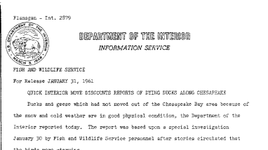 Quick Interior Move Discounts Reporys of Dying Ducks Along Chesapeake--January 31, 1961
