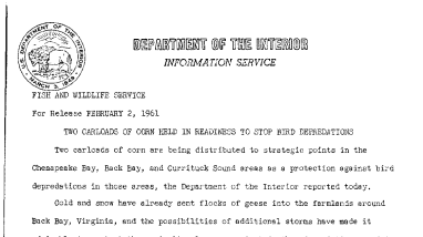 Two Carloadss of Corn Held in Readiness to Stop Bird Depredations--February 2, 1961