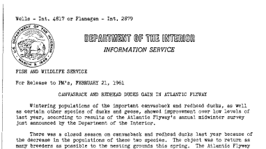 Canvasback and Redhead Ducks Gain in Atlantic Flyway--February 21, 1961