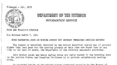 More Waterfowl Seen on Winter Survey but Drought Threatens Nesting Grounds--March 7, 1961