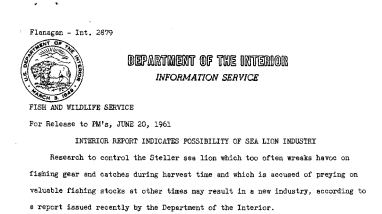 Interior Report Indicates Possibility of Sea Lion Industry--June 20, 1961