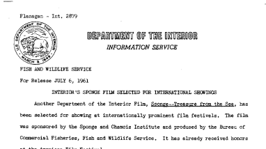 Interior's Sponge Film Selected for International Showings--July 6, 1961