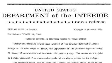 Interior Reports 21 Whooping Cranes on Texas Refuge--October 26, 1961