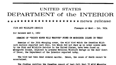 Remains of "Thirty Ninth Wild Whooper" Found on Matagorda Island in Texas--May 2, 1962