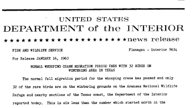 Normal Whooping Crane Migration Period Ends With 32 Birds on Wintering Areas in Texas--January 16, 1963