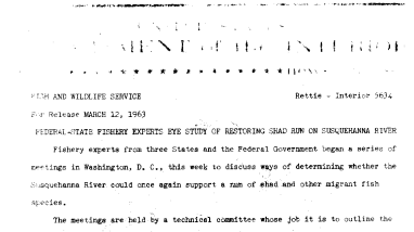 Federal-State Fishery Experts Eye Study of Restoring Shad Run on Susquehanna River--March 12, 1963