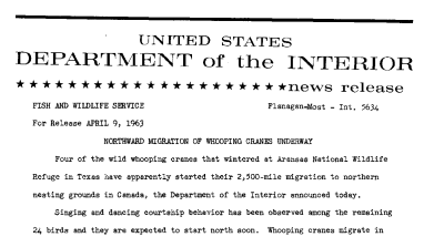 Northward Migration of Whooping Cranes Underway--April 9, 1963
