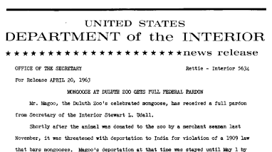 Mongoose at Duluth Zoo Gets Full Federal Pardon--April 20, 1963