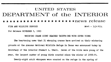 Whooping Crane Count Reaches Thirty-One With Seven Young--November 5, 1963
