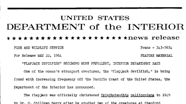 "Flapjack Devilfish" Becoming More Prevalent, Interior Department Says--May, 22, 1964
