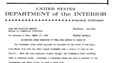 Scientists Study Behavior of Tuna--The Better to Catch It--March 17, 1965
