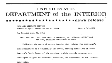 Duck Nesting Conditions Greatly Improved, but Nesting Populations Are Low, Interior Department Reports--July 12, 1965