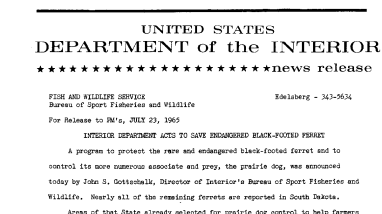 Interior Department Acts to Save Endangered Black-Footed Ferret--July 23, 1965