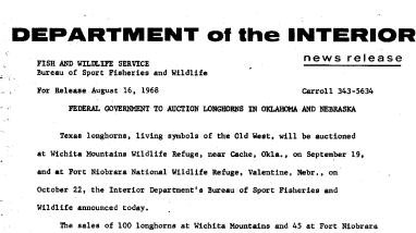 Federal Government to Auction Longhorns in Oklahoma and Nebraska August 16, 1968