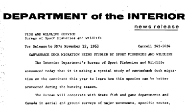 Canvasback Duck Migration Being Studied by Sport Fisheries and Wildlife November 12, 1968