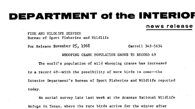 Whooping Crane Population Grows to Record 49 November 25, 1968