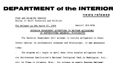 Interior Department Attempting to Restore Alligators in Southeastern Arkansas, Mississippi March 27, 1969