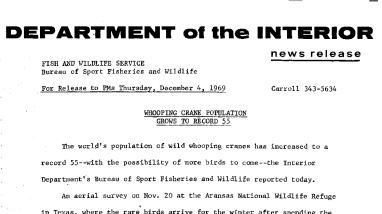 Whooping Crane Population Grows to Record 55 December 4, 1969