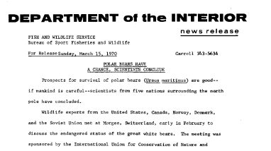 Polar Bears Have A Chance, Scientists Conclude March 15, 1970