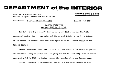 Masked Bobwhites Are Released in Arizona March 24, 1970