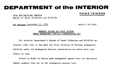 Monkeys Seized in First Action Under Endangered Species Conservation Act September 13, 1970