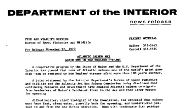 Atlantic Salmon May Again Run in New England Streams November 27, 1970