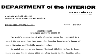 Whooping Crane Population Grows to Record 57 January 1, 1971