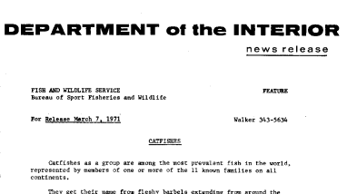 Catfishes March 7, 1971