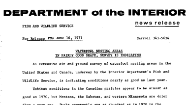 Waterfowl Nesting Areas in Fairly Good Shape, Survey Is Indicating June 16, 1971