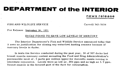 Ducks Found to Have Low Levels of Mercury September 26, 1971