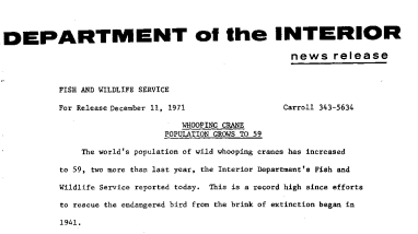 Whooping Crane Population Grows to 59 December 11, 1971