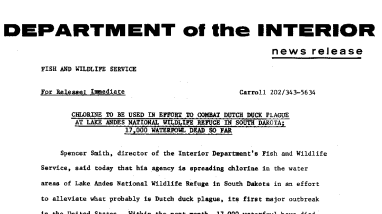 Chlorine to Be Used in Effort to Combat Dutch Duck Plague at Lake Andes National Wildlife Refuge in South Dakota; 17,000 Waterfowl Dead so Far February 9, 1973