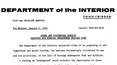 Green and Loggerhead Turtles Proposed for Foreign Endangered Species List January 4, 1974