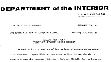 World's First Wolf Transplant Suggests Homing Tendency April 2, 1974
