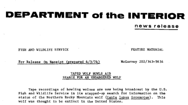Taped Wolf Howls Aid Search for an Endangered Wolf April 3, 1974
