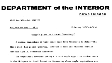 Wopld's First Bald Eagle "egg-Plant" May 2, 1974