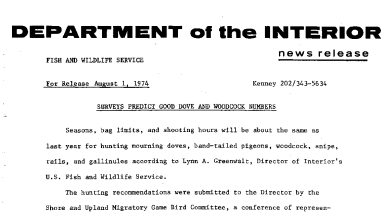 Surveys Predict Good Dove and Woodcock Numbers August 1, 1974