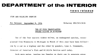 Two of Four Transplanted Wolves Killed September 8, 1974